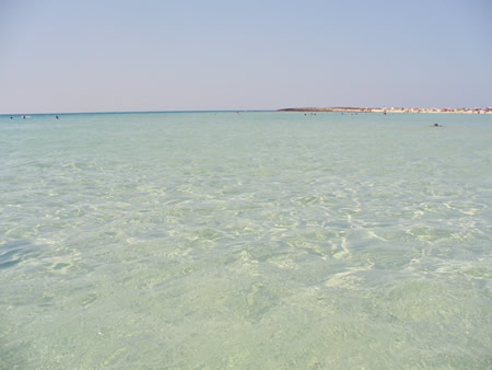 Mare polinesiano, limpido e pulito a Pescoluse