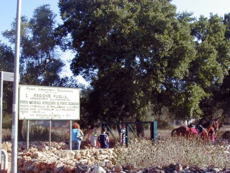 Una entrata del parco