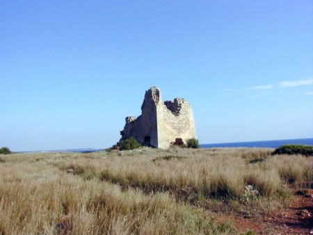 La torre