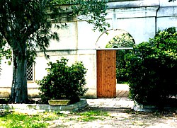 Masseria Frassaniti - foto 2