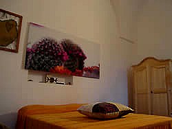 Masseria le Palmentelle - foto 5