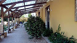 Masseria le Palmentelle - foto 8