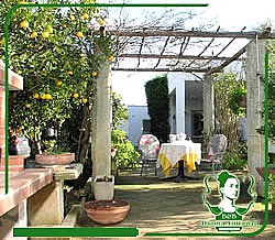 Donna Vincenza - foto 3