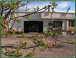 Il Sorriso degli Ulivi - foto 2