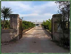 Il Sorriso degli Ulivi - foto 3