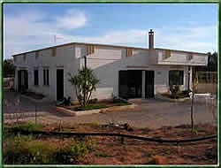 Il Sorriso degli Ulivi - foto 5