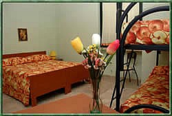 Il Sorriso degli Ulivi - foto 7