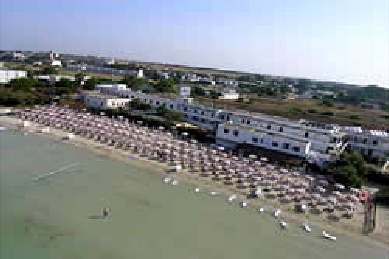 Conchiglia Azzurra - foto 1