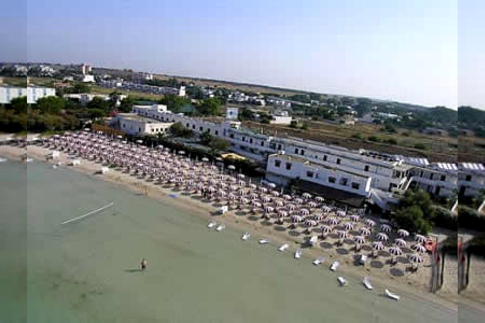 Conchiglia Azzurra - foto 2