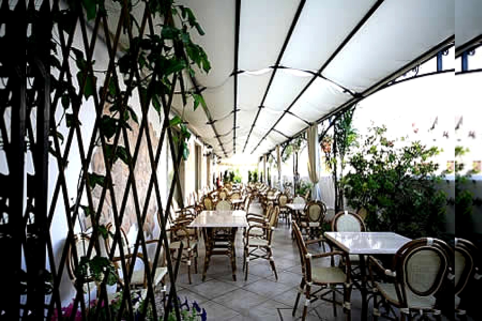 Conchiglia Azzurra - foto 6