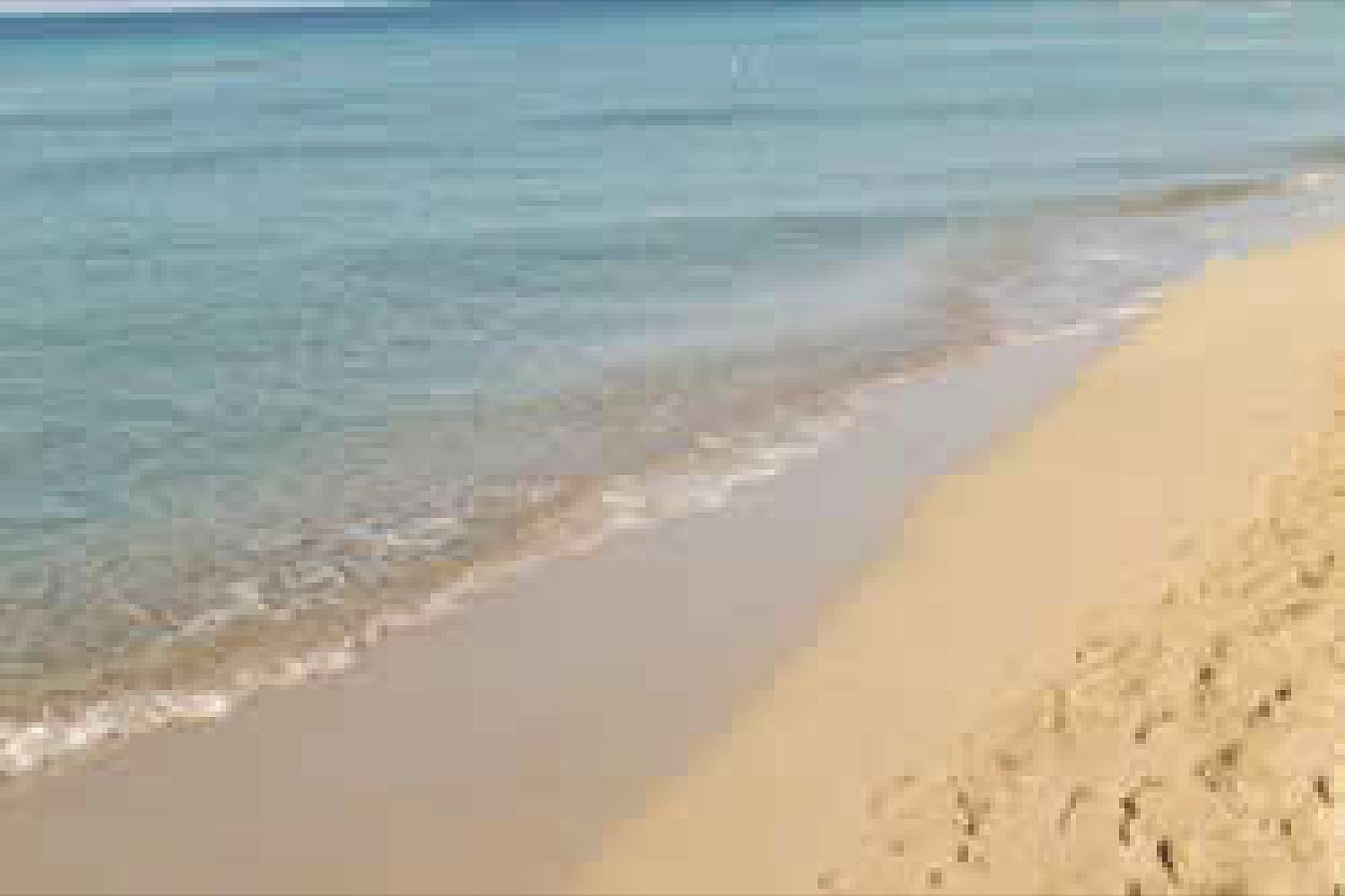 Esperia Palace Hotel - foto 7