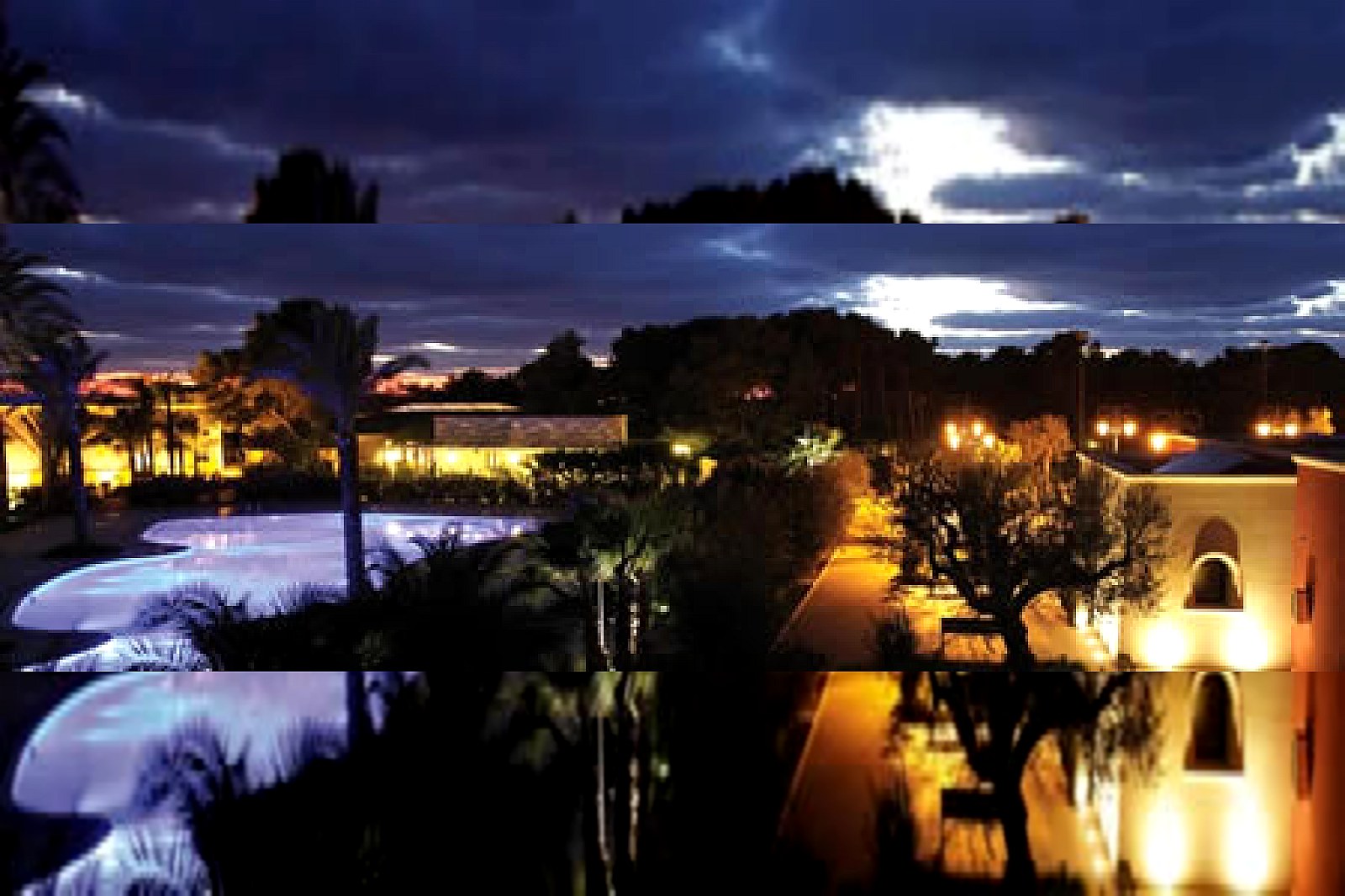 Il Giardino dei Pini - foto 3