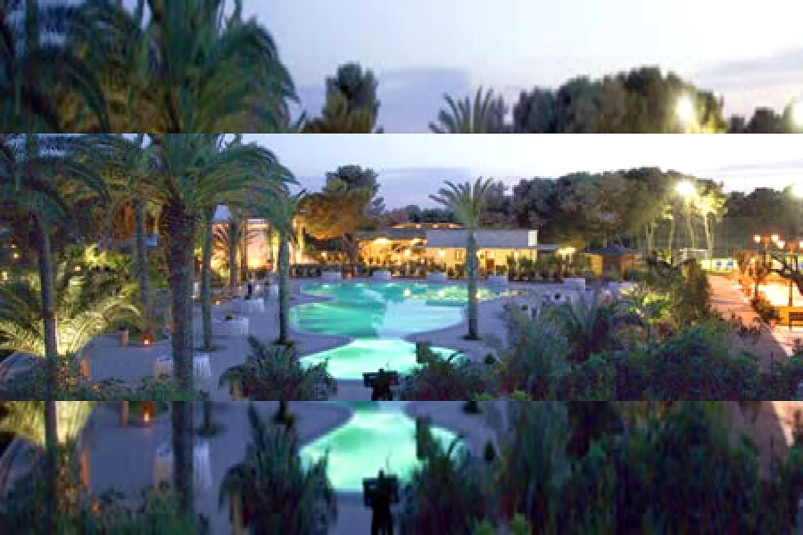 Il Giardino dei Pini - foto 5