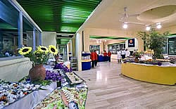 BRAVO CLUB ALIMINI - foto 3