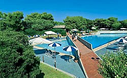 BRAVO CLUB ALIMINI - foto 5